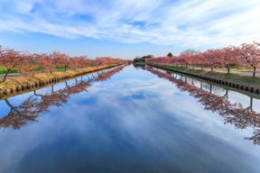 캐논 RF24mm F1.4 L VCM으로 촬영한 사진