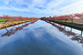 캐논 RF20mm F1.4 L VCM으로 촬영한 사진