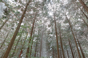 캐논 RF20mm F1.4 L VCM으로 촬영한 사진