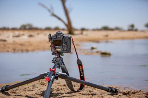 Canon EOS-1D X Mark III 카메라가 삼각대에 장착되어 야외 강가에서 촬영 준비 중인 모습