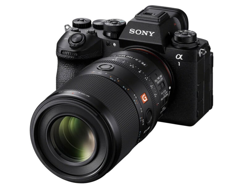Sony Alpha 1 카메라에 장착된 Sony FE 100mm f/2.8 Macro GM OSS 렌즈, 접사 촬영을 위한 프로페셔널 매크로 세팅
