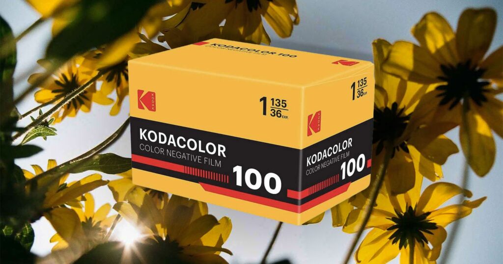 노란색과 검은색 디자인의 Kodak Kodacolor 100 컬러 네거티브 필름 박스, 배경에는 햇빛이 비치는 노란 꽃들이 보임